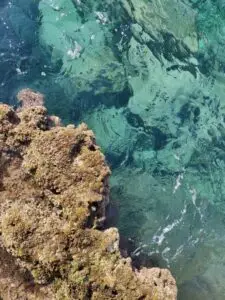 Palermo